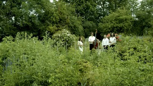 Un groupe de personnes dans une forêt
