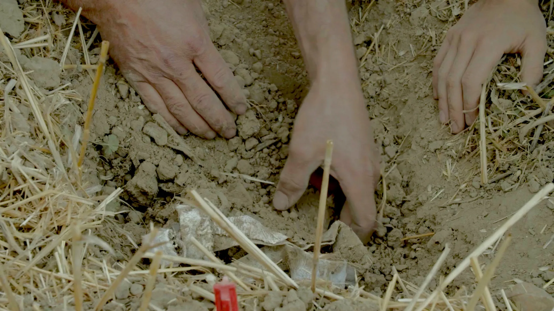 Des musiciens assis sur des bottes de paille